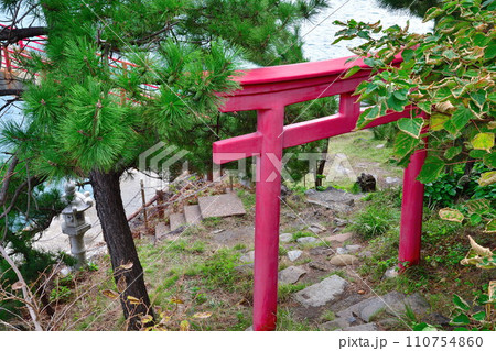 弁天岩(新潟県) 弁天岩(新潟県) 110754860