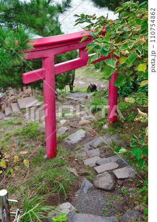 弁天岩（新潟県） 110754862