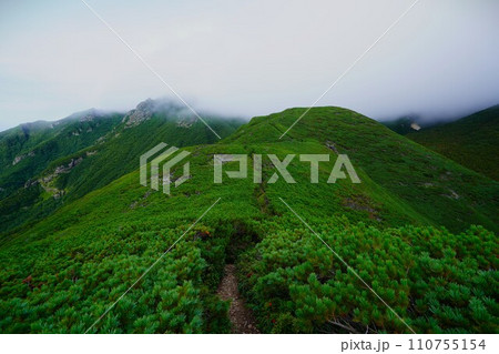 熊見峠の登山道と斜里岳 熊見峠の登山道と斜里岳 110755154
