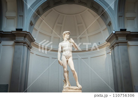 Statue of David from Michelangelo, Accademia Gallery, Florence, Italy, Europe 110756306