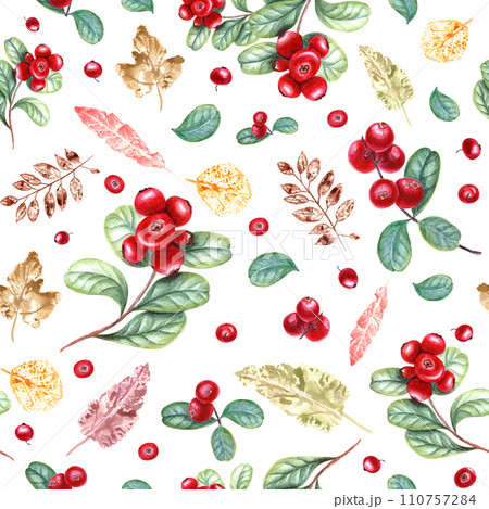 Red cranberries and imprints of colorful leaves. Seamless pattern. Lingonberry, yellow plants. Watercolor illustration for cozy home. Ornate for room decor, print, textile design. 110757284