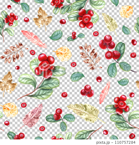 Red cranberries and imprints of colorful leaves. Seamless pattern. Lingonberry, yellow plants. Watercolor illustration for cozy home. Ornate for room decor, print, textile design. 110757284