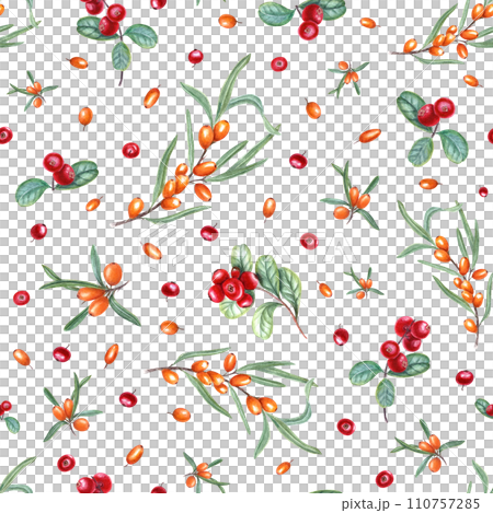 Watercolor seamless pattern of sea buckthorn branches and cowberries. Botanical illustration with orange, red berries, green leaves. For room decor, package, textile design 110757285