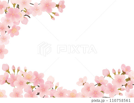 シンプルな満開の桜のイラスト 110758561