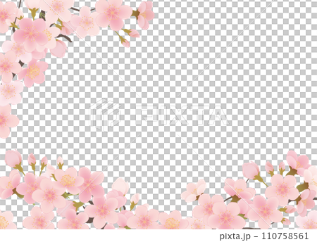 シンプルな満開の桜のイラスト 110758561