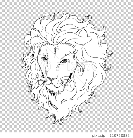 獅子的臉黑白線描 110758882