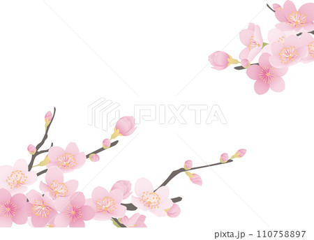 シンプルな満開の桜のイラスト 110758897