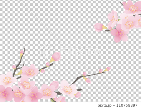 シンプルな満開の桜のイラスト 110758897