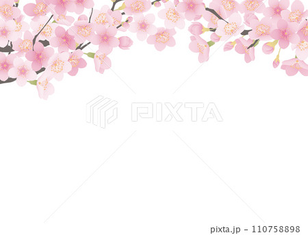 シンプルな満開の桜のイラスト 110758898