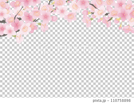 シンプルな満開の桜のイラスト 110758898