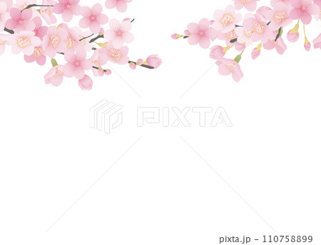 シンプルな満開の桜のイラスト 110758899