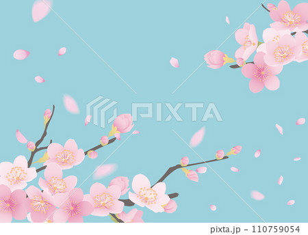 桜の花と花びらのイラスト 110759054