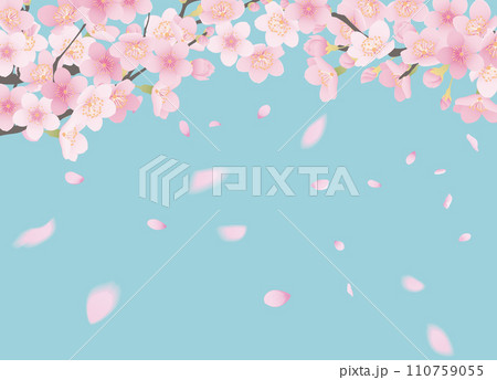 桜の花と花びらのイラスト 桜の花と花びらのイラスト 110759055