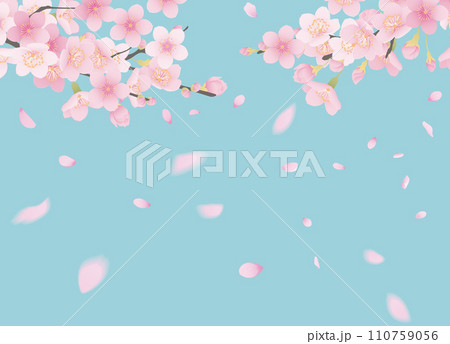 桜の花と花びらのイラスト 110759056