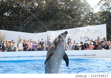 九十九島水族館、海きらら 九十九島水族館、海きらら 110759617