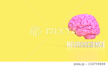 The Human brain for sci or medical concept 3d rendering. 110759989