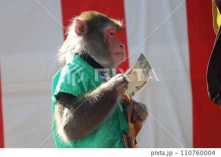 山﨑八幡宮秋季例大祭、山崎八幡宮、秋、祭り、2023年、山車、本山神事 110760004
