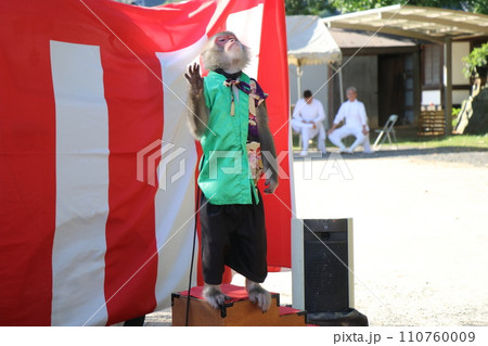 山﨑八幡宮秋季例大祭、山崎八幡宮、秋、祭り、2023年、山車、本山神事 110760009