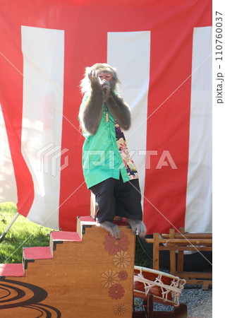 山﨑八幡宮秋季例大祭、山崎八幡宮、秋、祭り、2023年、山車、本山神事 110760037