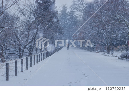 雪の中をを歩く 110760235