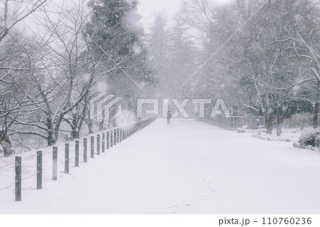 雪の降る公園 110760236