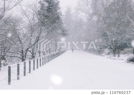 雪の散策路 雪の散策路 110760237