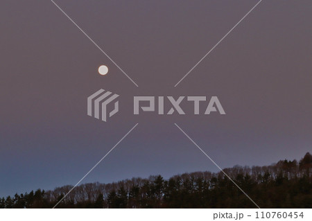 森へ沈んでゆく満月 110760454