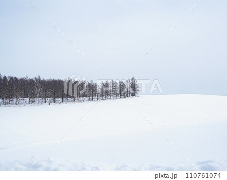 冬の美瑛 雪景色 冬の美瑛 雪景色 110761074