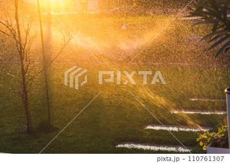 Automatic garden lawn sprinkler in action watering green grass 110761307