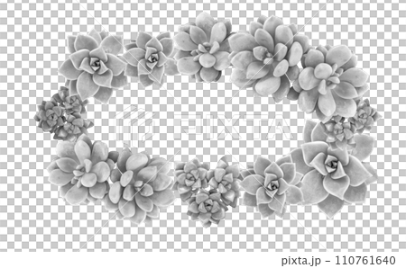 Horizontal botanical wreath of succulents 110761640