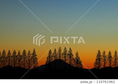 メタセコイア並木越しの夕暮れの富士山 110761962