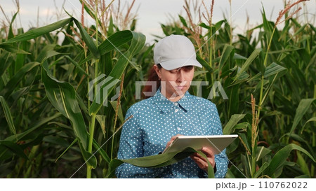 agriculture, farmer with digital tablet working corn field, hands touching tablet while working field, business farm, caucasian fresh farmer healthy wheat agronomist inspection examining smart 110762022