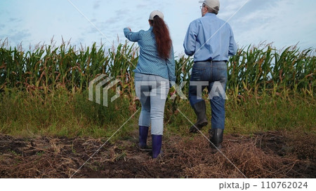 agriculture, farmers handshake field, business corn farm, farmer working tablet with partner, business handshake, rancher, handshake, ripe, sunlight, internet, ear of corn, agronomy, group, corn field 110762024