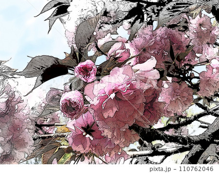 桜 110762046