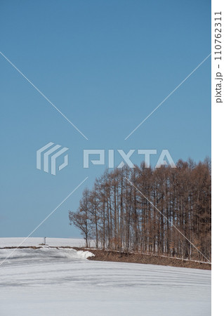 早春の雪の畑と青空 110762311