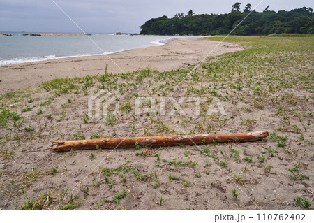 大分県 国東半島の砂浜 大分県 国東半島の砂浜 110762402