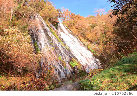 知床オシンコシンの滝と紅葉 110762566