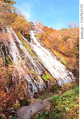知床オシンコシンの滝と紅葉 知床オシンコシンの滝と紅葉 110762575