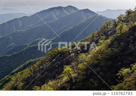 丹沢山稜線から見る新緑の丹沢三峰 110762783