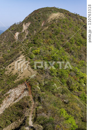 鬼ヶ岩から見る新緑の丹沢最高峰・蛭ヶ岳 110763318