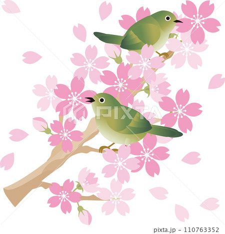 メジロ 鳥 春 さくら 桜 お花見 あしらい 飾り シンプル かわいい