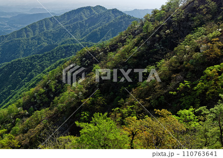 丹沢山稜線から見る新緑の丹沢三峰 丹沢山稜線から見る新緑の丹沢三峰 110763641
