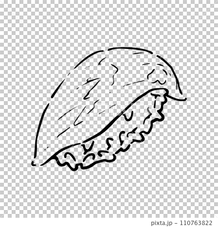 Hand drawn illustration of salmon sushi 110763822