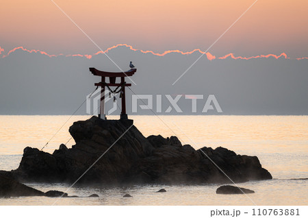 八幡奈多宮　元宮　鳥居 110763881