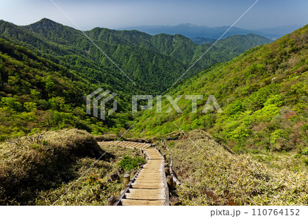 丹沢・不動ノ峰稜線から見る新緑の塔ノ岳・鍋割山とユーシン渓谷 110764152