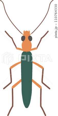 アオカミキリモドキ アオカミキリモドキ 110764330