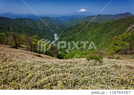 丹沢山稜線から見る残雪の富士山と新緑のユーシン渓谷 丹沢山稜線から見る残雪の富士山と新緑のユーシン渓谷 110764567