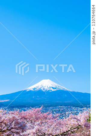 桜と富士山（新倉山浅間公園） 110764664