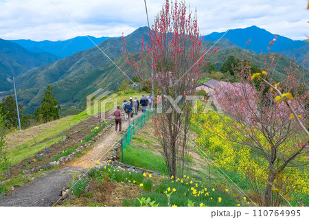 熊野古道小辺路を歩くハイカー 熊野古道小辺路を歩くハイカー 110764995