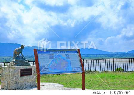 沖縄県、西表島のイリオモテヤマネコの像 110765264